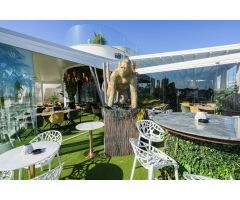 Restaurante en Venta en Benijófar, Alicante