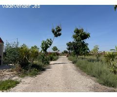 Finca rústica de 10.000?m² con 2 viviendas, nave y balsa en Las Jumillicas (Fortuna)
