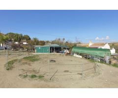 Maravillosa finca ecuestre ubicada en Coín