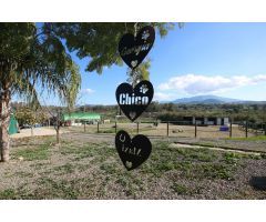 Maravillosa finca ecuestre ubicada en Coín