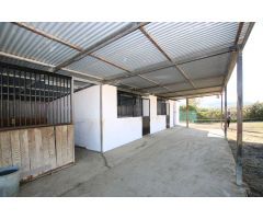 Maravillosa finca ecuestre ubicada en Coín
