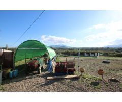 Maravillosa finca ecuestre ubicada en Coín