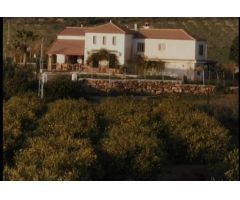 Impresionante finca en alquiler ubicada en Santa Rosalía.
