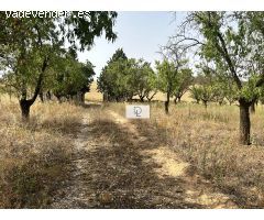 A LA VENTA FINCA EN HERAS DE AYUSO, GUADALAJARA