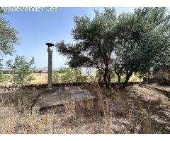 A LA VENTA FINCA EN HERAS DE AYUSO, GUADALAJARA