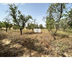 A LA VENTA FINCA EN HERAS DE AYUSO, GUADALAJARA