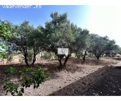 A LA VENTA FINCA EN HERAS DE AYUSO, GUADALAJARA