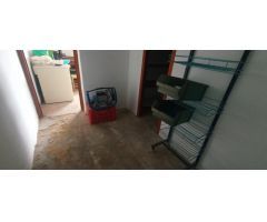 LOCAL - ALMACEN DE  M2