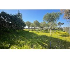 Terreno rural en Alquiler en Valverde de Leganés, Madrid