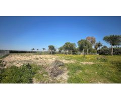 Terreno rural en Alquiler en Valverde de Leganés, Madrid