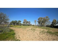 Terreno rural en Alquiler en Valverde de Leganés, Madrid