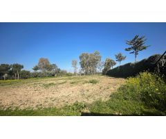 Terreno rural en Alquiler en Valverde de Leganés, Madrid