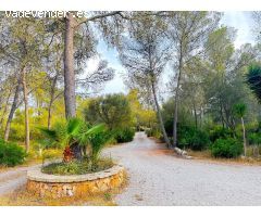 Chalet en Alquiler en La Ribera de la Algaida, Islas Baleares