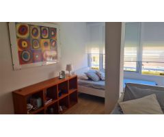 Se alquila por larga temporada  desde 15 de Mayo de 2025 bonito apartamento con vistas al mar zona L