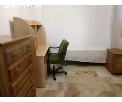Piso  en alquiler en la zona de Triunfo