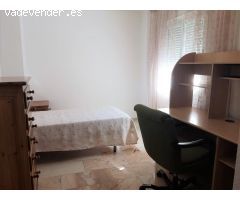 Piso  en alquiler en la zona de Triunfo