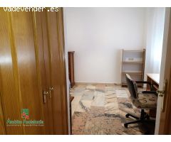 Piso  en alquiler en la zona de Triunfo