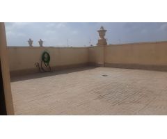 Piso de 2 Habitaciones y 1 Baño con Solarium privado en zona el Corte Inglés, Elche