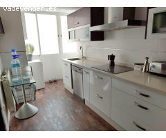 VIVIENDA COMPLETAMENTE REFORMADA. PRIMERAS CALIDADES Y TOTALMENTE EQUIPADO.