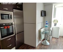 VIVIENDA COMPLETAMENTE REFORMADA. PRIMERAS CALIDADES Y TOTALMENTE EQUIPADO.
