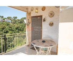 ENCANTO PIRINAICO EN PINEDES DE L’ARMENGOL – 140.000 € ????