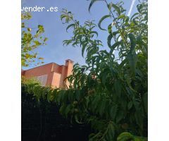 SE VENDE CASA EN SEVILLA ESTE