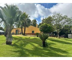 FINCA  DE 65 HECTÁREAS  CON VIVIENDA EN MONTORO
