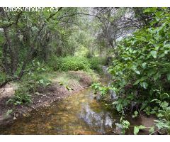 VENTA CASA RUSTICA EN TORRELAGUNA
