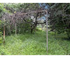 VENTA CASA RUSTICA EN TORRELAGUNA