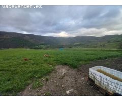 Se vende casa de pueblo con terreno en Rasines