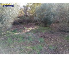 Finca rustica 7.000 m2