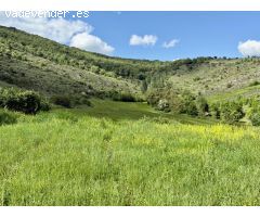 OTEIZA DE BERRIOPLANO. SE VENDE TERRENO URBANO CON VISTAS