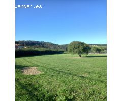 FINCA EN VENTA EN CONDRES, GOZÓN