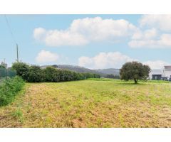FINCA EN VENTA EN CONDRES, GOZÓN