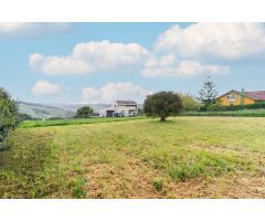 FINCA EN VENTA EN CONDRES, GOZÓN