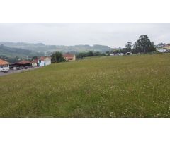 ???? Finca edificable en Carreño – ¡Ubicación estratégica, entorno natural y todas las comodidades c