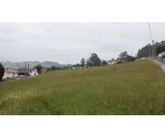 ???? Finca edificable en Carreño – ¡Ubicación estratégica, entorno natural y todas las comodidades c
