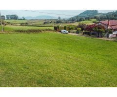 Terreno edificable vivienda unifamiliar
