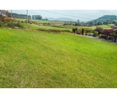 Terreno edificable vivienda unifamiliar