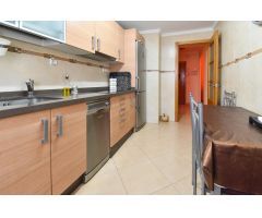 ALQUILER TEMPORADA PISO CENTRICO 3 DORMITORIOS 2 BAÑOS PISCINA Y PARKING