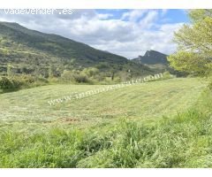 Parcela rustica en Estella