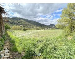Parcela rustica en Estella