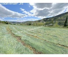 Parcela rustica en Estella