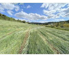 Parcela rustica en Estella