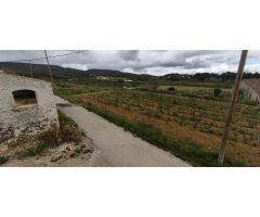 CASA EN ALQUILER EN GUARDIOLA DE FONT-RUBI