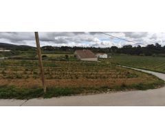 CASA EN ALQUILER EN GUARDIOLA DE FONT-RUBI