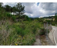 Terreno urbano en Pontons (Barcelona)