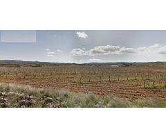 TERRENO RÚSTICO EN VENTA EN LARBOÇ