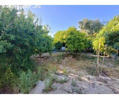 Parcela en zona Torremar, Puerto De la Torre. Completamente llana y cerrada