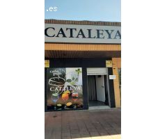 Local Comercial en Alquiler en Albacete, Albacete